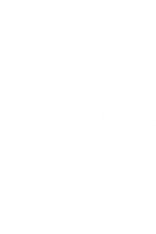 Erz Core - Snapback mit Stick